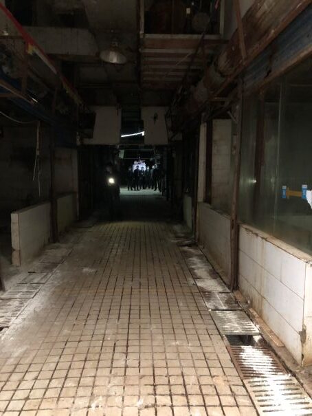 WHO China COVID origins joint study, Huanan Seafood Market, Wuhan