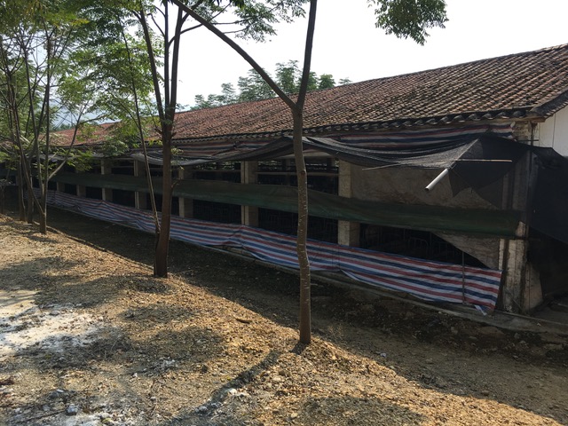 Photo from our survey of farms after the original SADS-CoV outbreak in Guangdong province, China. Outside of this pigsty shows potential for access by foraging horseshoe bats.